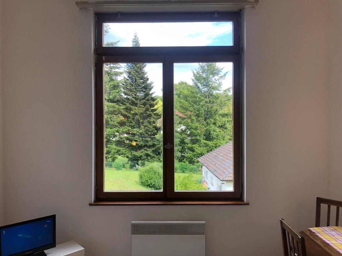 Loft Mon Soleil Apartment Le Hohwald Luaran gambar